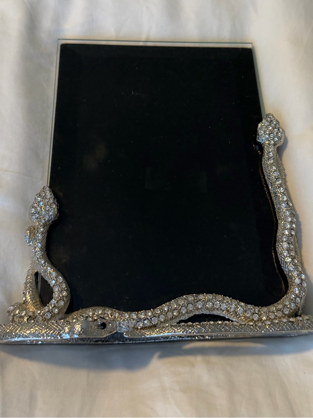 Z Gallerie Silver Rhinestone Snake Frame